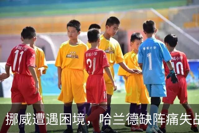 挪威遭遇困境，哈兰德缺阵痛失战斗力，欧国联小组垫底